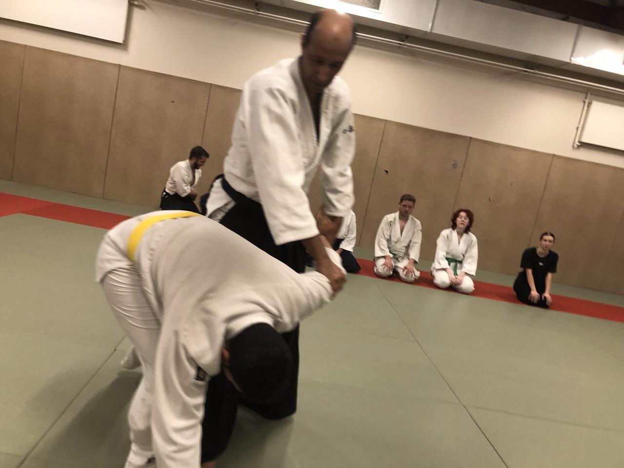 Démonstration d'une technique d'Aïkido