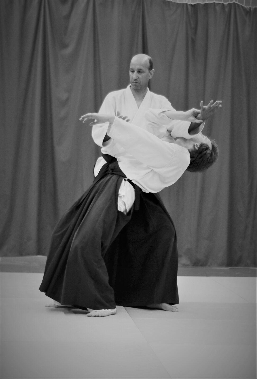 Aïkido, technique